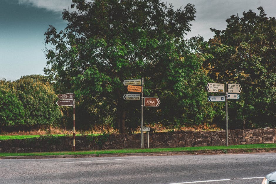 A row of multiple directional and informational road signs mounted on metal poles along a street, with a large green leafy tree behind them and a stone wall further back. The signs include white, black, brown, and blue backgrounds with various arrows pointing in different directions, indicating local roads, destinations, and landmarks. The setting appears to be outdoors during daytime, with natural light illuminating the scene. This image captures a typical street scene that could relate to navigation or directions during a house removal or move, with the presence of signage relevant for planning local transportation routes. There are no moving vehicles or objects in the scene, focusing solely on the signage and natural environment.